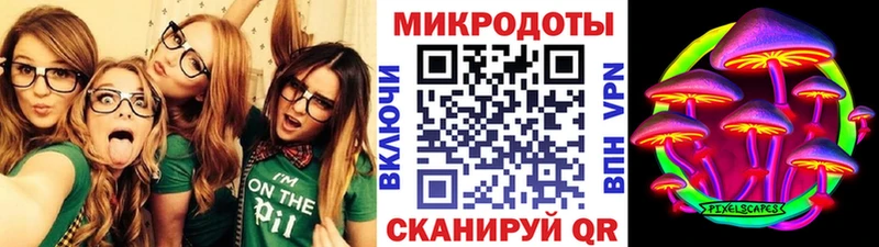 где продают   Асино  Галлюциногенные грибы Psilocybe 