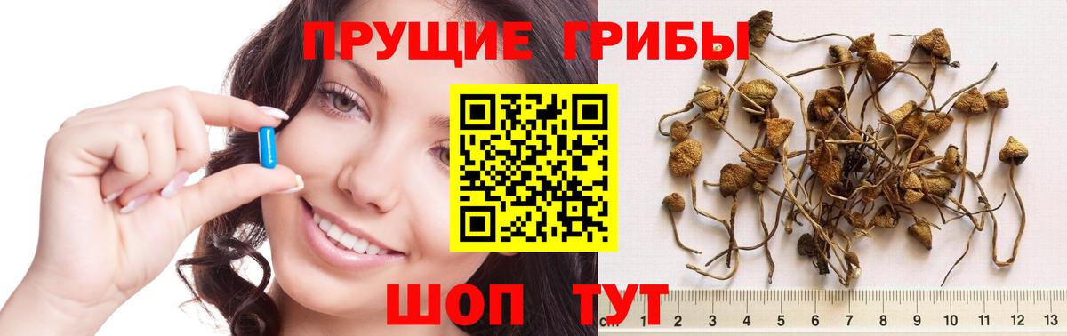 Асино  Псилоцибиновые грибы мухоморы  Вход с VPN 