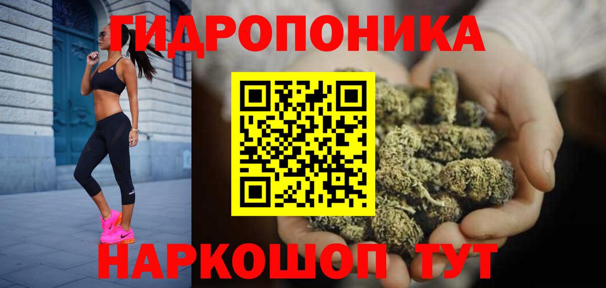 Конопля THC 21%  Марихуана SATIVA & INDICA  Асино  Конопля VHQ  Конопля SATIVA & INDICA 